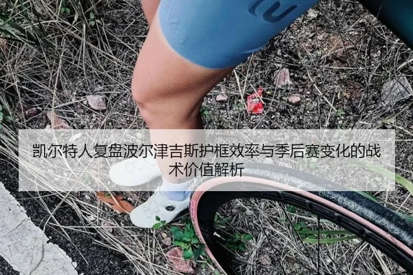 凯尔特人复盘波尔津吉斯护框效率与季后赛变化的战术价值解析